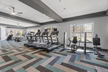 A gym with a variety of equipment including treadmills, weights, and a bench press.